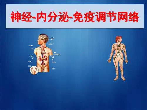 神经、内分泌与免疫系统关系