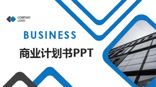 药酒项目商业计划书ppt