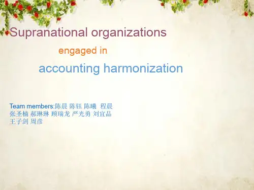 国际会计组织相关资料(英文版)(ppt 22页)