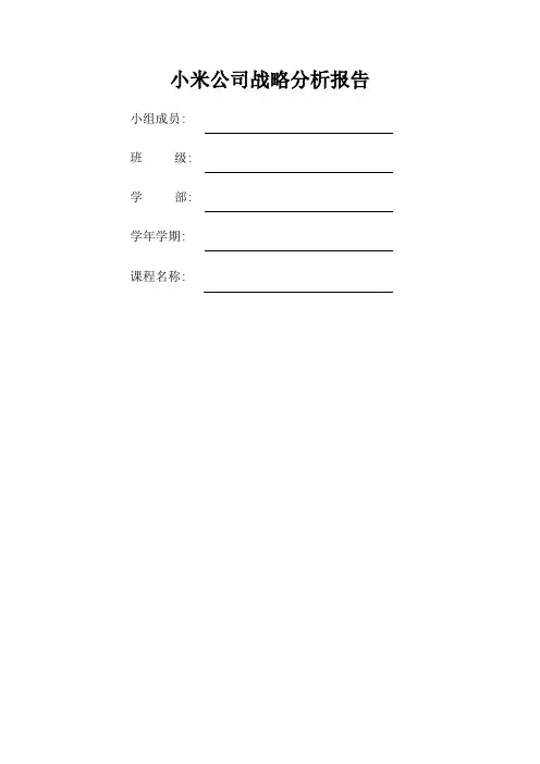 小米公司战略分析报告