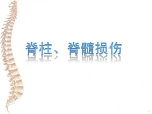 脊柱、脊髓损伤