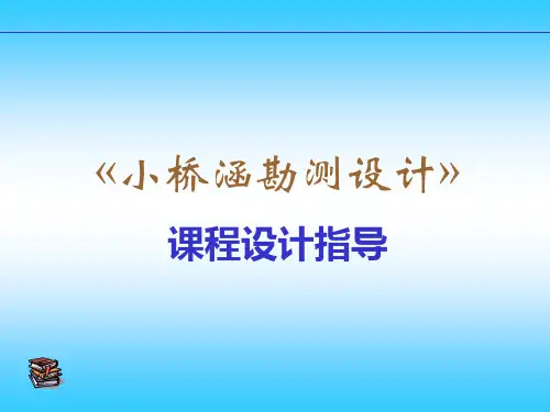 小桥涵设计指导建议