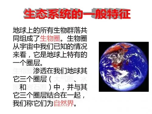 生态系统的一般特征