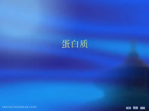 生物化学蛋白质的结构和功能专家讲座