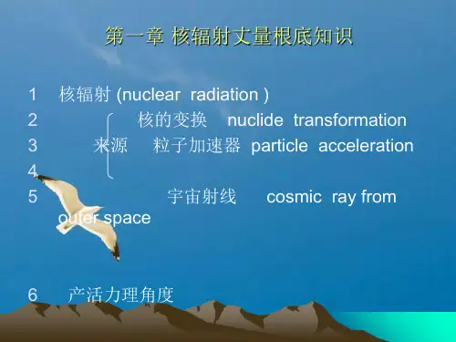 核辐射测量方法ppt课件