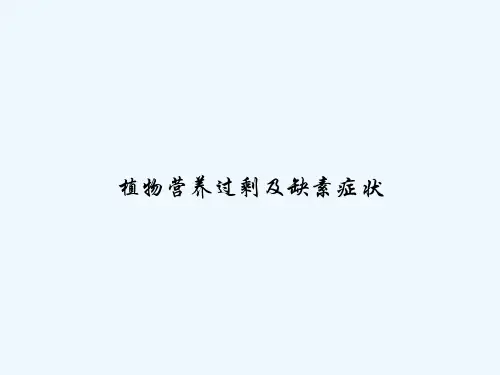 植物营养过剩及缺素症状 PPT