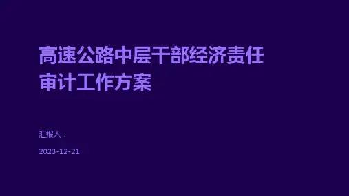 高速公路中层干部经济责任审计工作方案