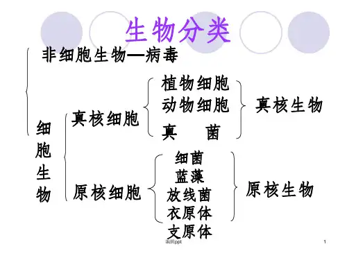 《高中生物》PPT课件