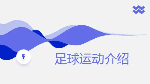 足球运动介绍