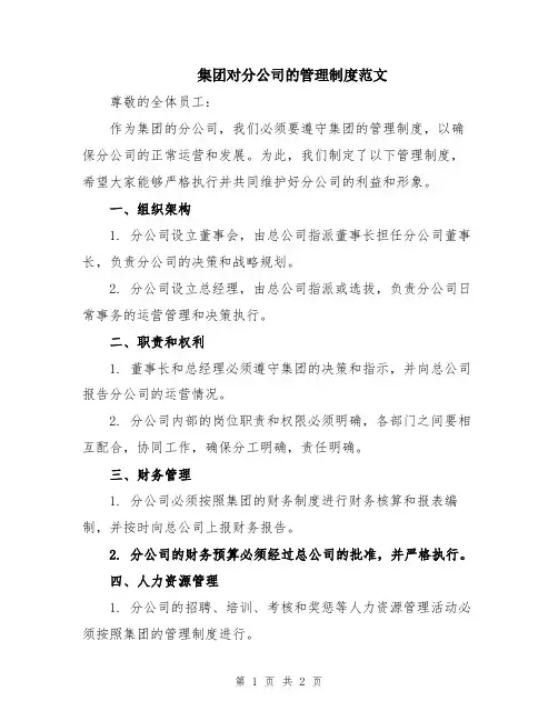 集团对分公司的管理制度范文