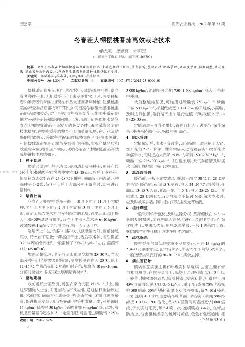 冬春茬大棚樱桃番茄高效栽培技术