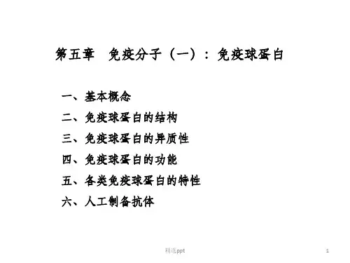 《免疫球蛋白》PPT课件