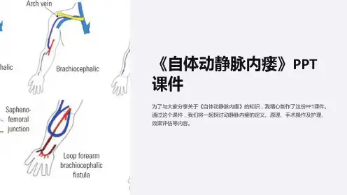 《自体动静脉内瘘》课件