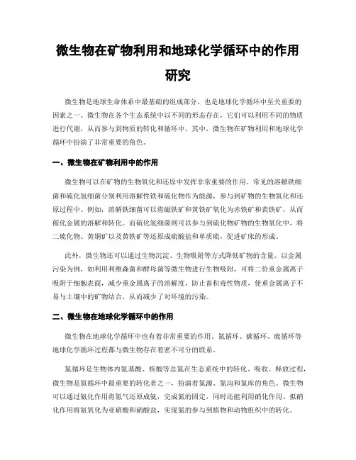 微生物在矿物利用和地球化学循环中的作用研究