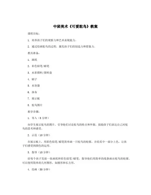 中班美术《可爱鸵鸟》教案