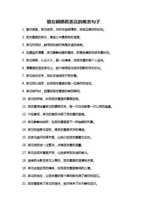 朋友圈晒看茶花的唯美句子