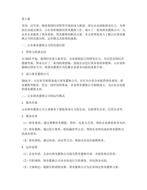山东债务置换公司(3篇)
