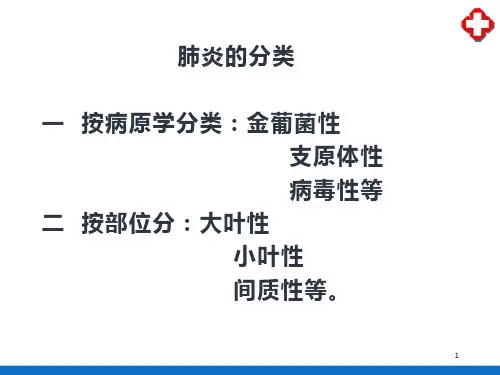 呼吸系统—肺部炎症的影像学表现(医学影像诊断学)