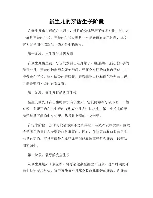 新生儿的牙齿生长阶段