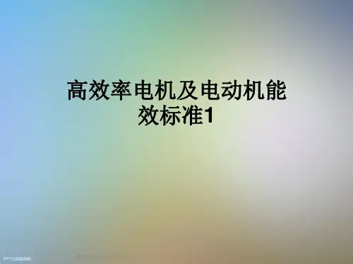 高效率电机及电动机能效标准1