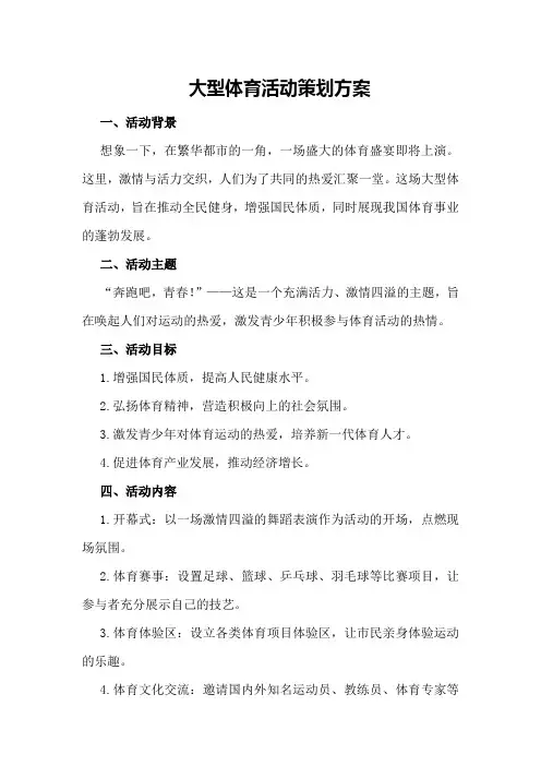 大型体育活动策划方案