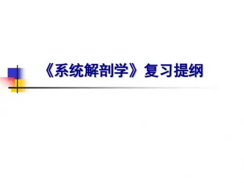 系统解剖学复习提纲