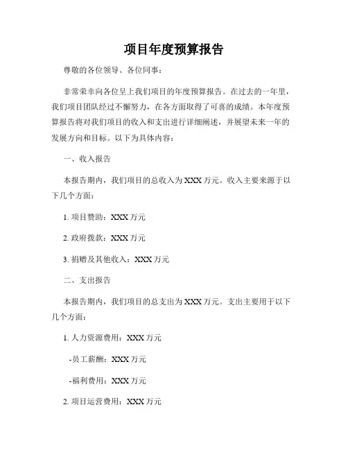 项目年度预算报告