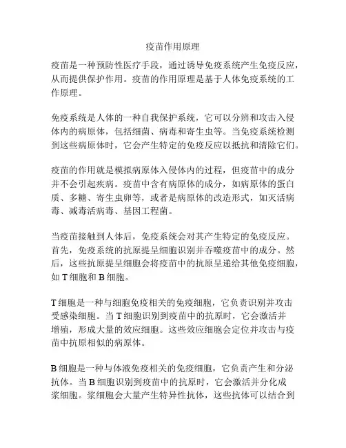 疫苗作用原理