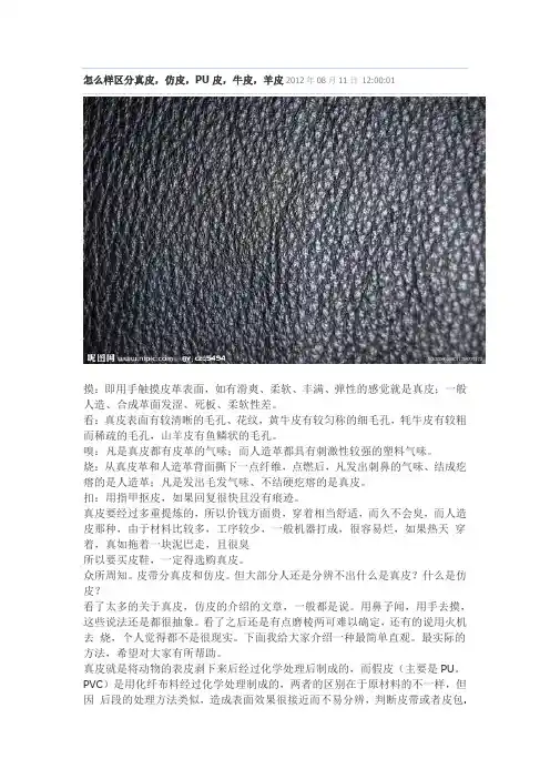 如何区分各种皮革