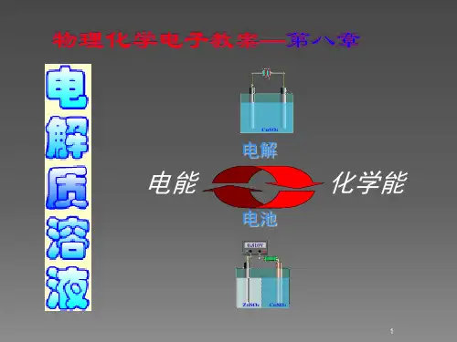 电解质溶液ppt课件