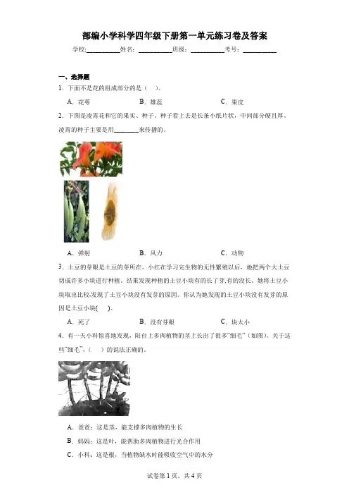 部编小学科学四年级下册第一单元练习卷及答案