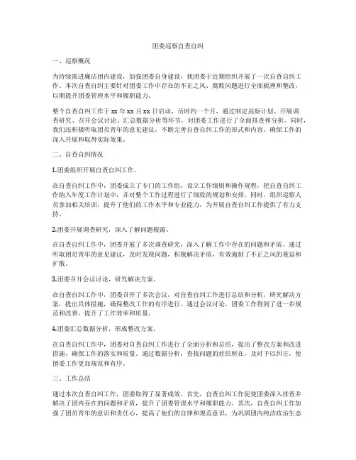 团委巡察自查自纠