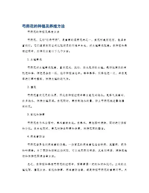 芍药花的种植及养殖方法
