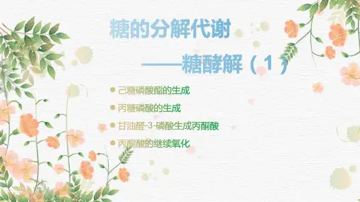 生物化学糖酵解