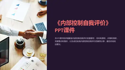 《内部控制自我评价》课件