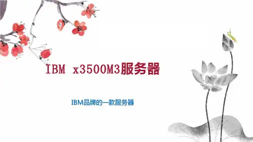 IBM x3500M3服务器
