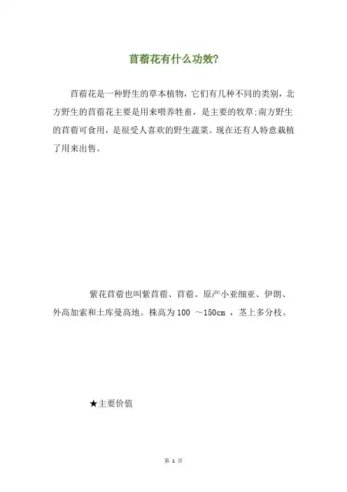 苜蓿花有什么功效-