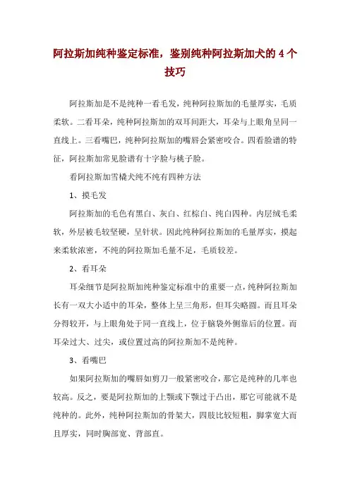 阿拉斯加纯种鉴定标准,鉴别纯种阿拉斯加犬的4个技巧