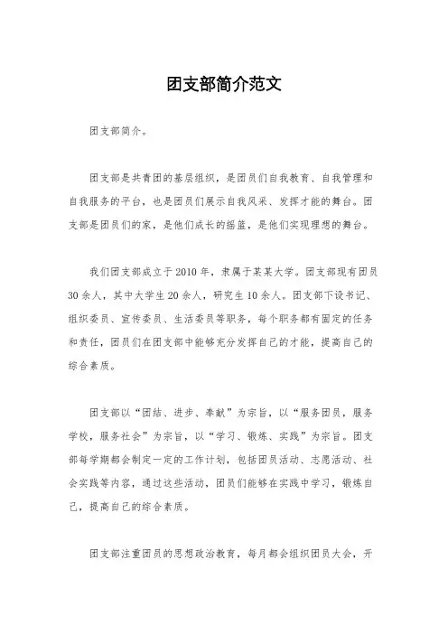 团支部简介范文