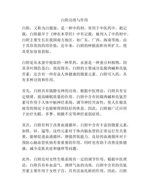 白附功效与作用