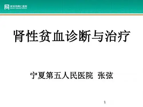 肾性贫血指南解读PPT课件