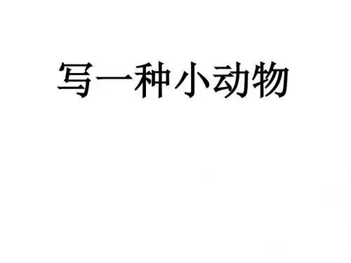 作文指导：小动物作文