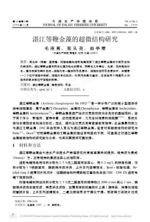 湛江等鞭金藻的超微结构研究