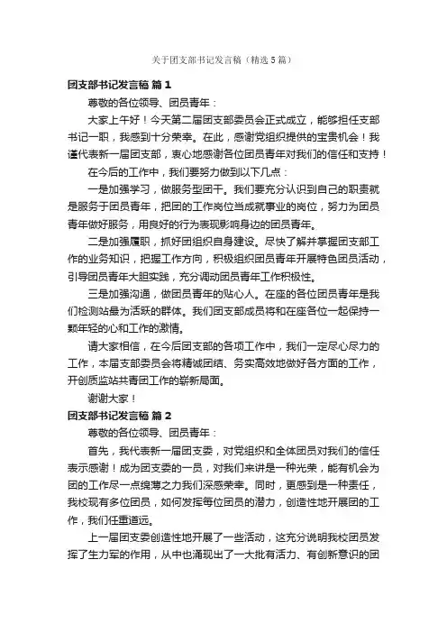 关于团支部书记发言稿（精选5篇）