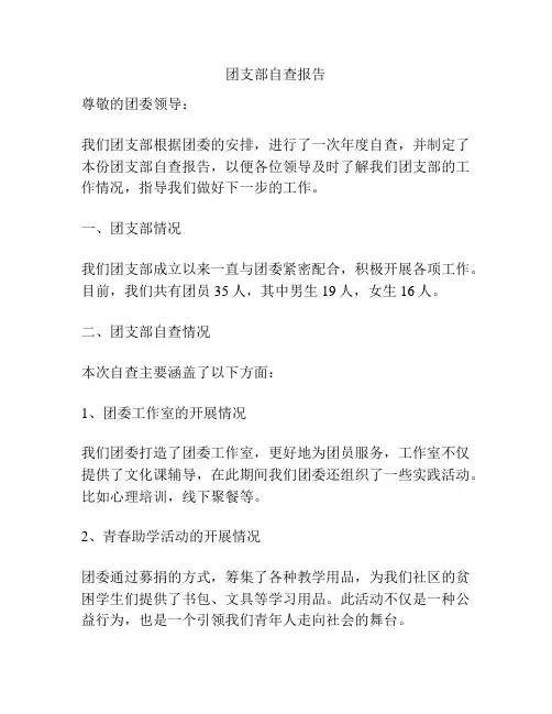 团支部自查报告
