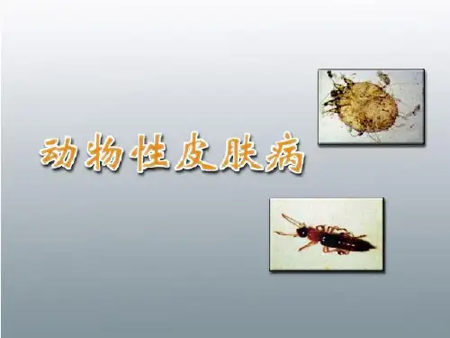 皮肤病：动物性皮肤病