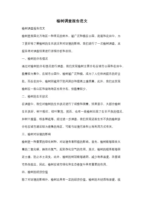 榆树调查报告范文