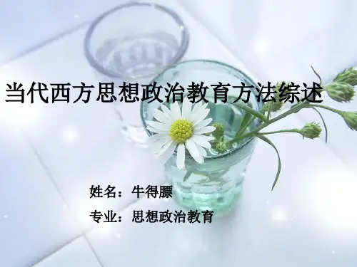 西方思想政治教育综述