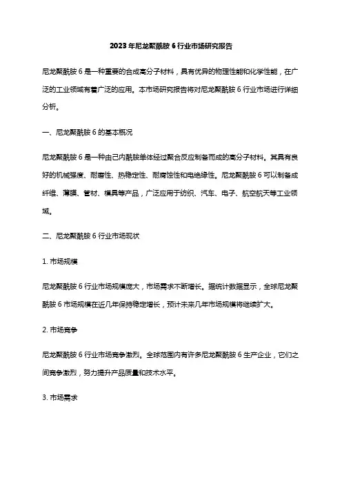 2023年尼龙聚酰胺6行业市场研究报告
