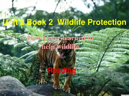 人教版高中英语必修二第四单元Unit4Book2WildlifeProtectionreading
